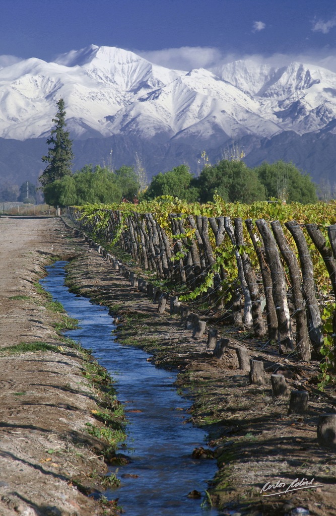 Irrigation_from_the_Andes Wines of Argentina Carlos Calise, Alta Vista; Wein aus Argentinien; Malbec, Vineshop24, Anden, Schmelzwasser