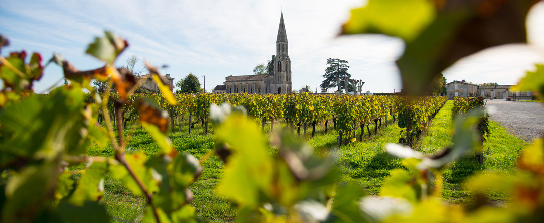 Vineyard-Landscape-Lalande de Pomerol-France
