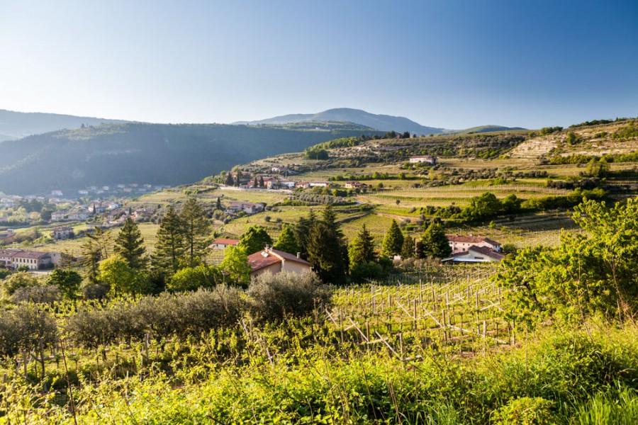 Valpolicella Gebiet