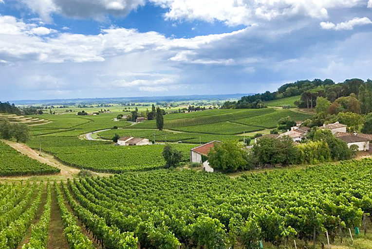 Klein aber fein - Weingut Château la Voûte