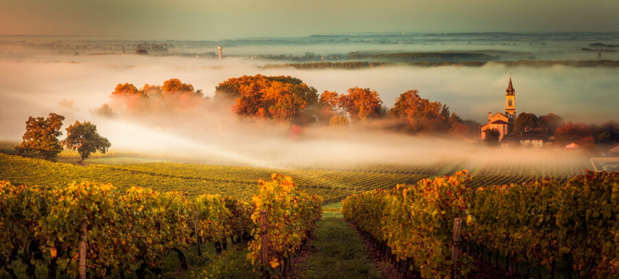 Weinregion Bordeaux
