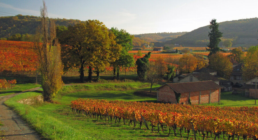Herbst in Bordeaux